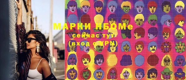 шишки Беломорск