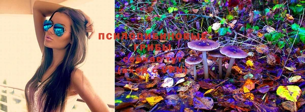 дистиллят марихуана Белоозёрский