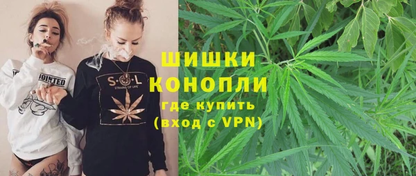 шишки Беломорск