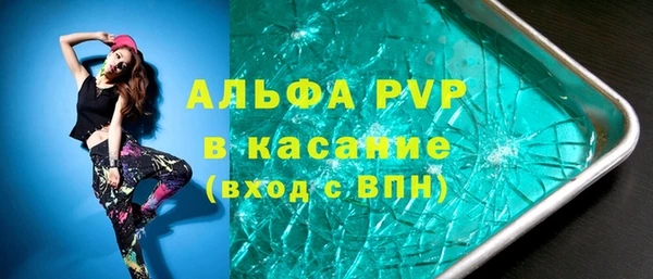 шишки Беломорск