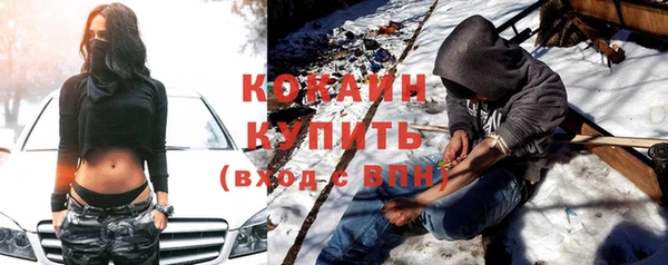 шишки Беломорск