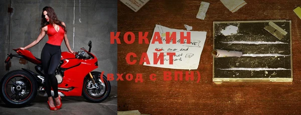 шишки Беломорск