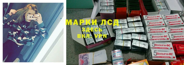 шишки Беломорск