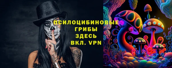 шишки Беломорск