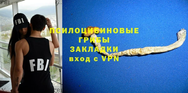 эйфоретик Белокуриха