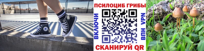 дарк нет наркотические препараты  Железноводск  Галлюциногенные грибы Cubensis  mega сайт 